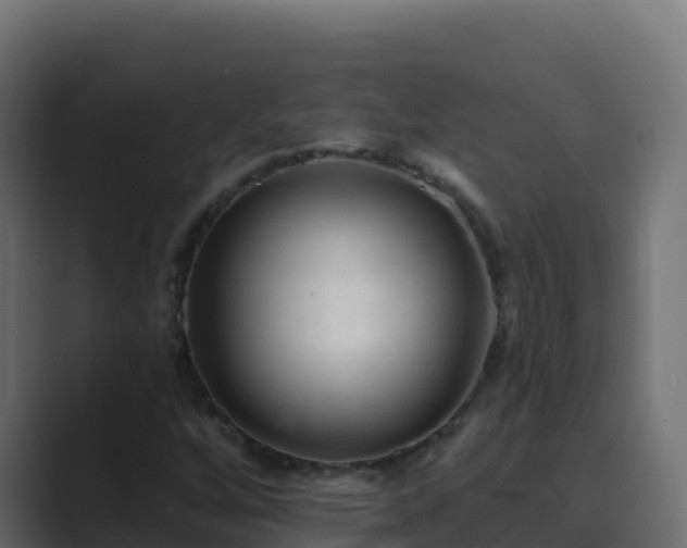 X0000089681256200706281351