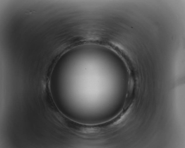 X0000089681257200706281351