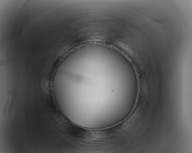 X0000089681258200706281351