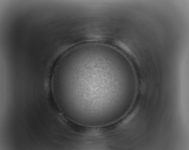 X0000089681259200706281351