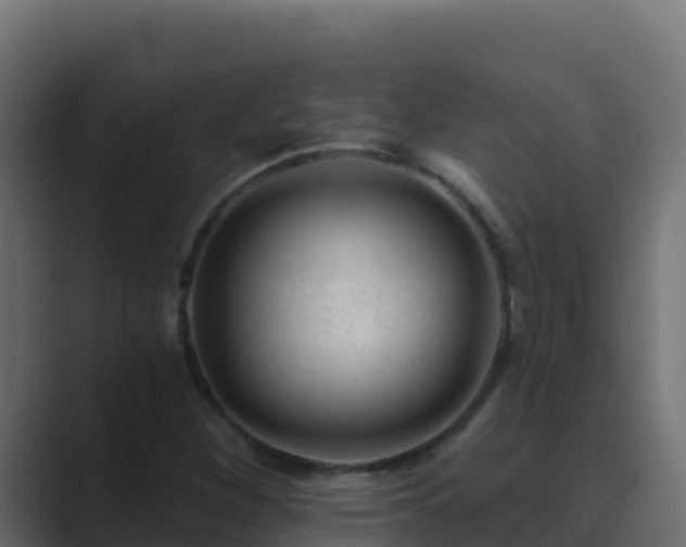 X0000089681260200706281351