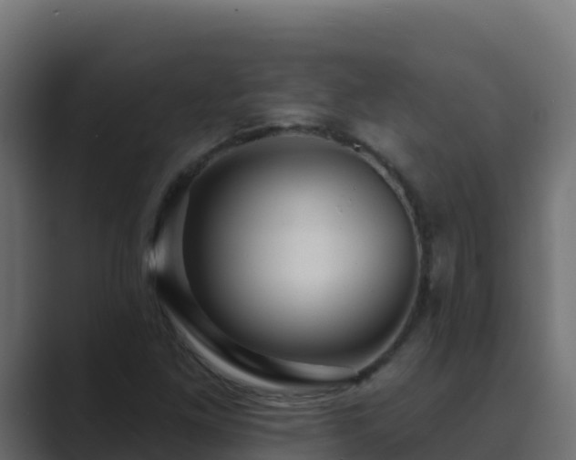 X0000089681261200706281351