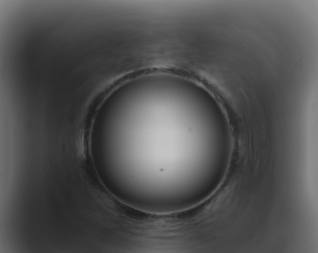 X0000089681262200706281351