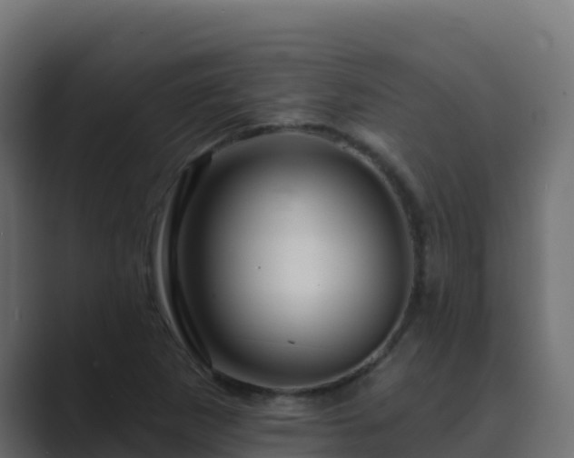 X0000089681265200706281351