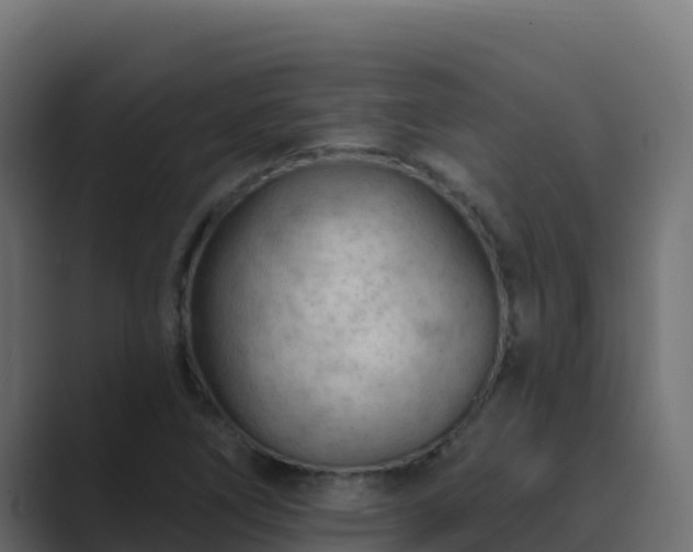 X0000089681266200706281351