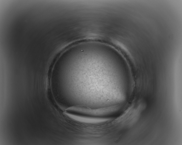 X0000089681267200706281351