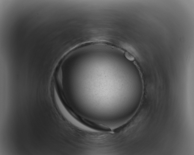 X0000089681268200706281351