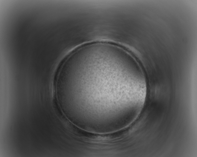 X0000089681271200706281351