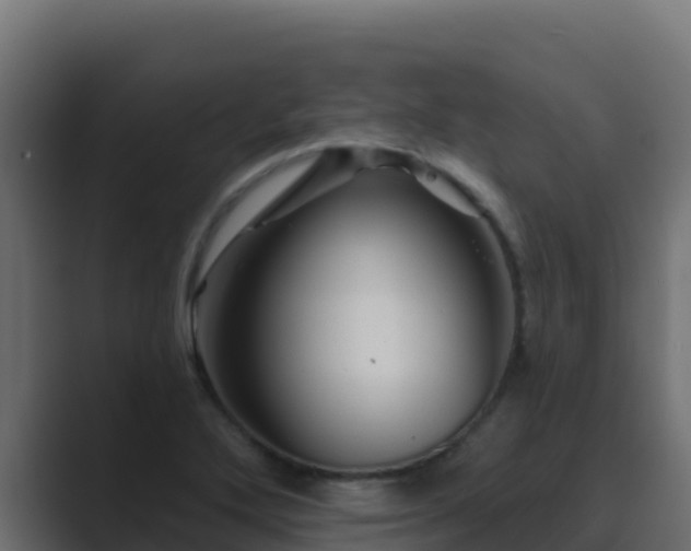 X0000089681272200706281351