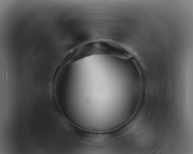 X0000089681273200706281351