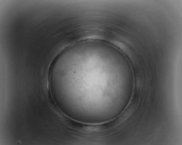 X0000089681274200706281351