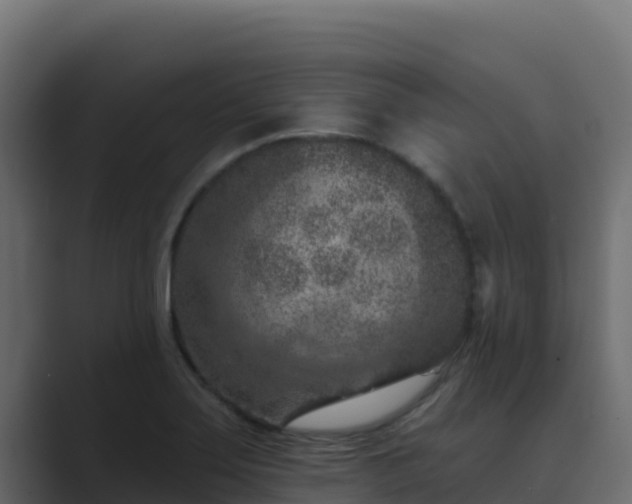 X0000089681275200706281351