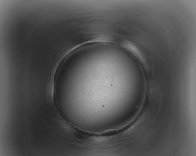 X0000089681276200706281351