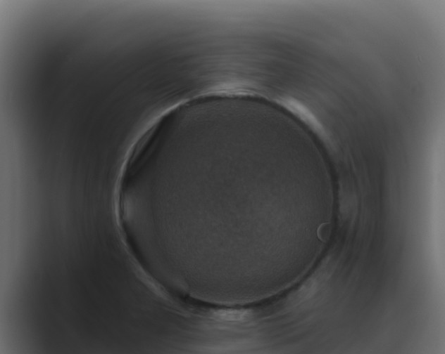 X0000089681277200706281351