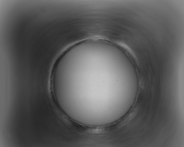 X0000089681278200706281351
