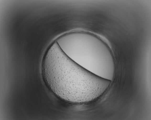 X0000089681279200706281351