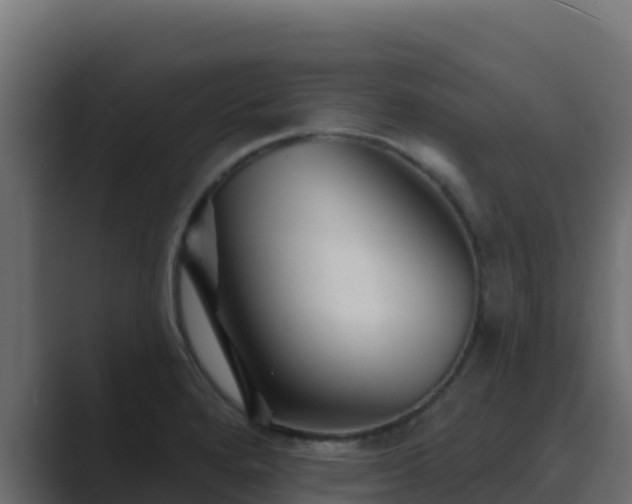 X0000089681280200706281351