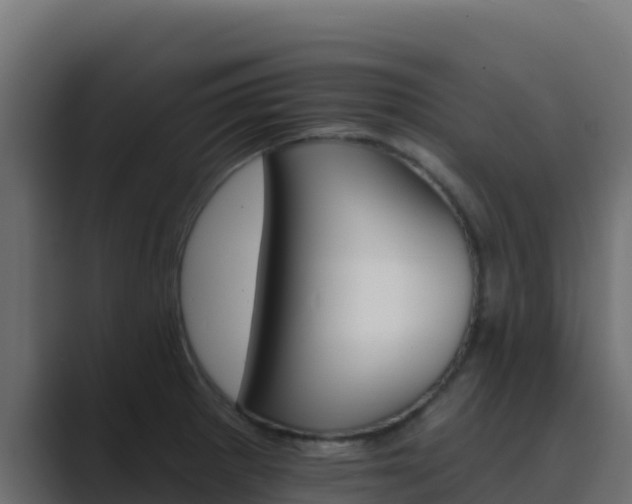 X0000089681281200706281351