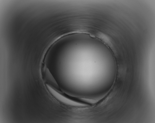 X0000089681284200706281351
