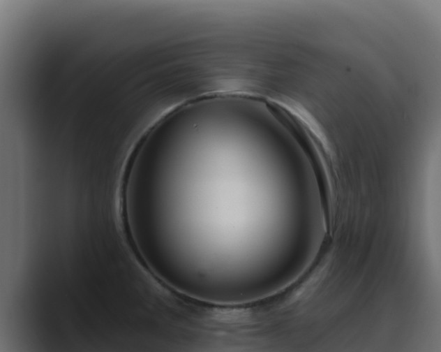 X0000089681285200706281351