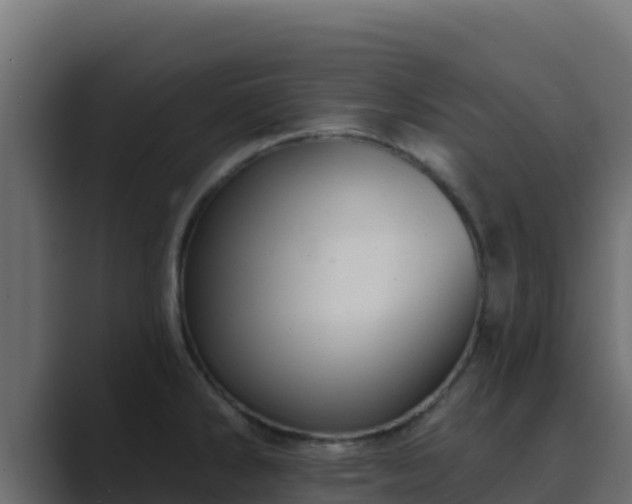 X0000089681286200706281351