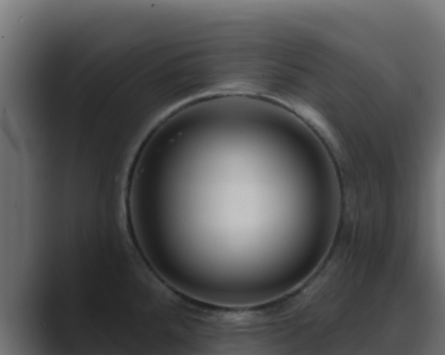X0000089681288200706281351