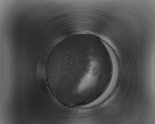 X0000089681289200706281351