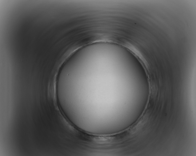 X0000089681290200706281351