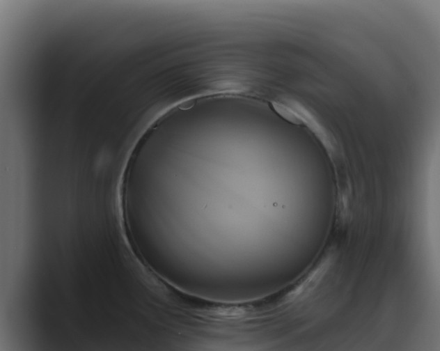 X0000089681291200706281351