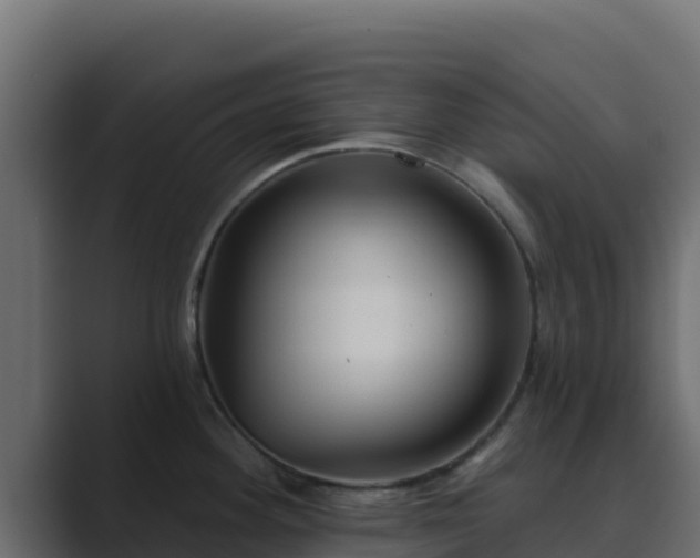 X0000089681292200706281351