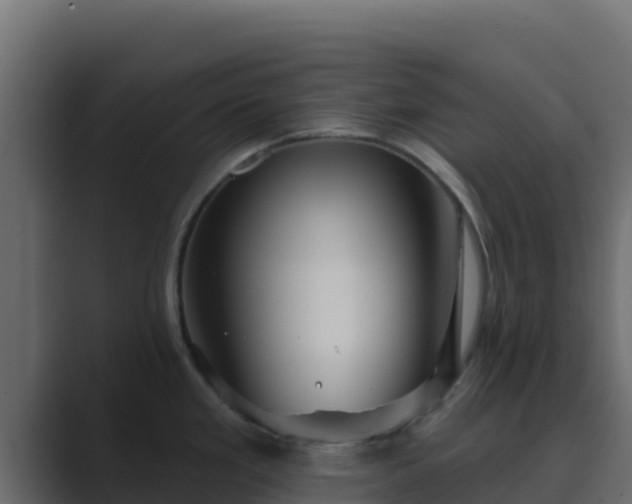 X0000089681293200706281351