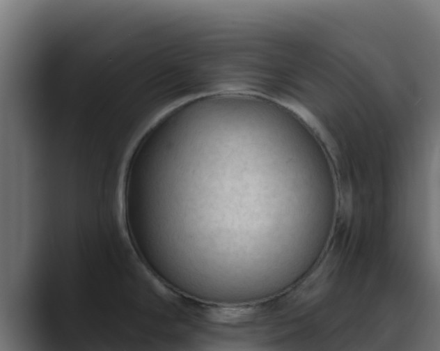 X0000089681294200706281351