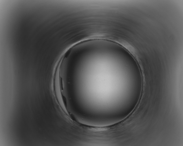 X0000089681296200706281351