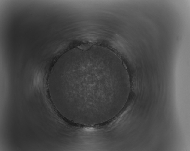 X0000089681297200706281350