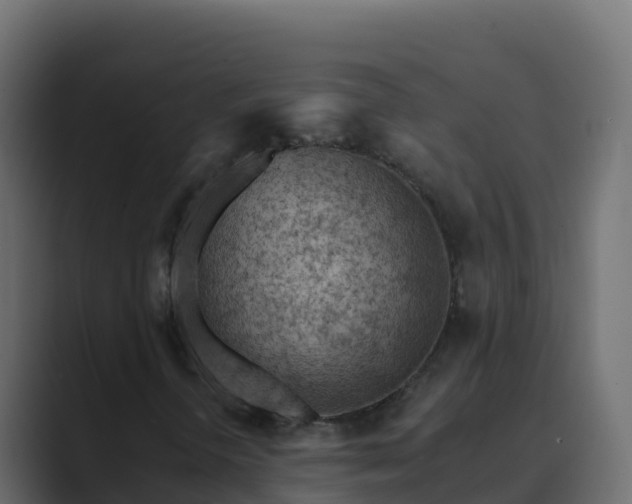 X0000089681298200706281350