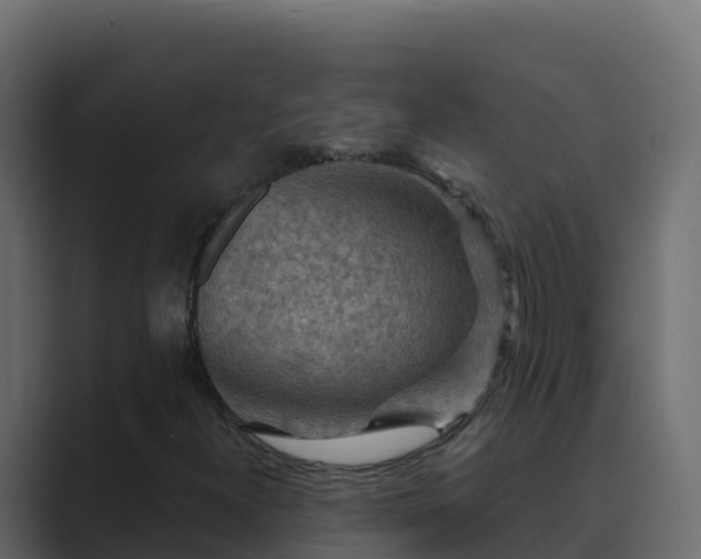 X0000089681300200706281350
