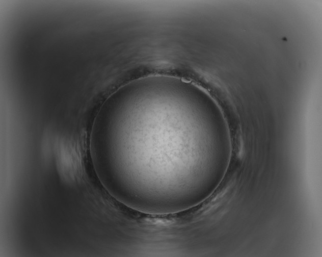 X0000089681301200706281350