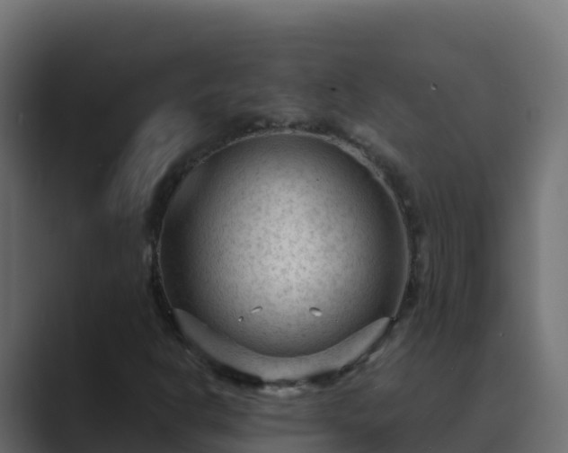 X0000089681302200706281350