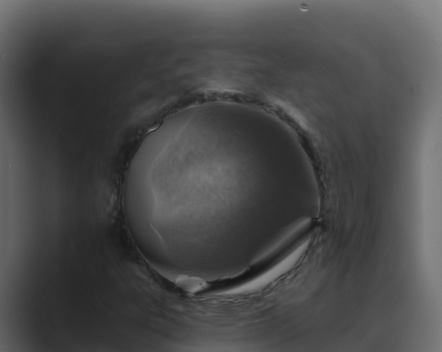 X0000089681303200706281350