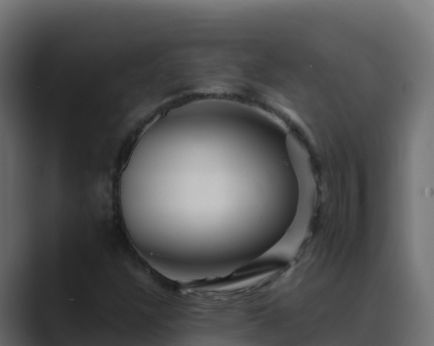 X0000089681304200706281350