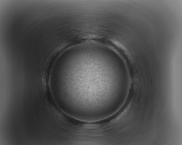 X0000089681305200706281350
