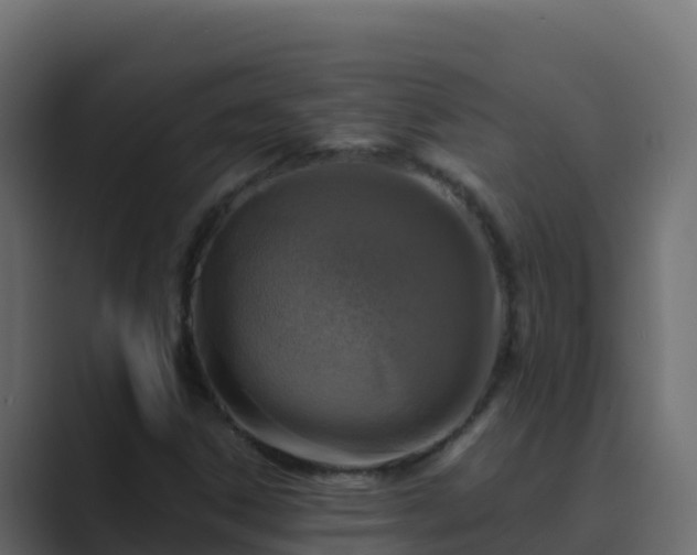X0000089681306200706281350