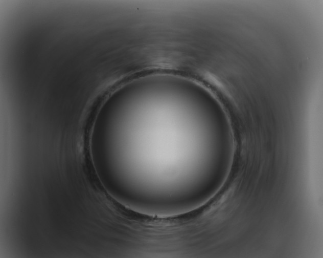 X0000089681307200706281350