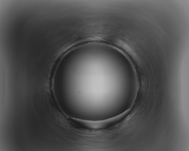 X0000089681308200706281350