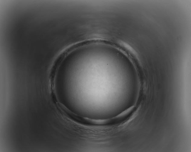 X0000089681310200706281350