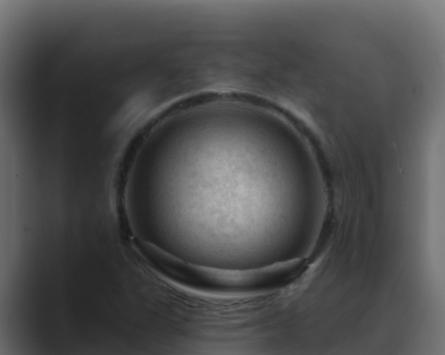 X0000089681311200706281350