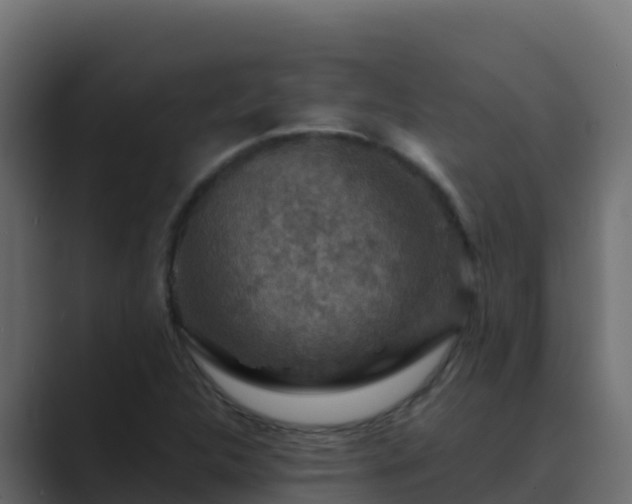 X0000089681312200706281350