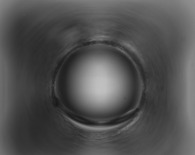 X0000089681313200706281350