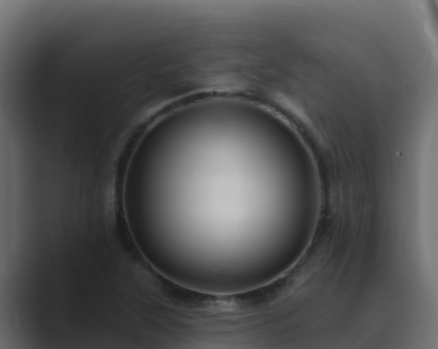 X0000089681315200706281350