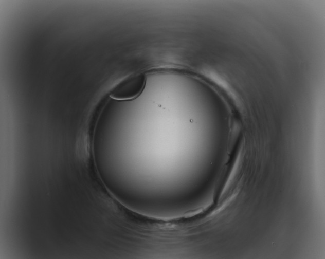 X0000089681317200706281350